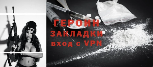 спиды Ельня