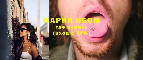 спиды Ельня