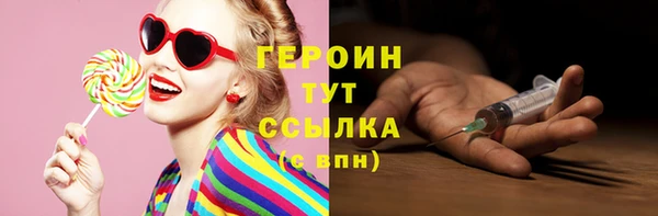 спиды Ельня