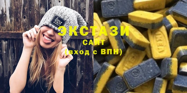 спиды Ельня
