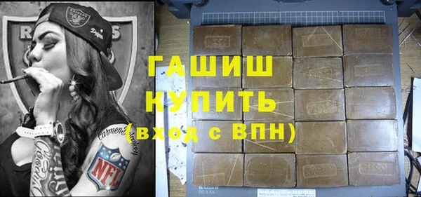 спиды Ельня