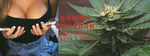 спиды Ельня