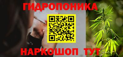 гидропоника Гусиноозёрск