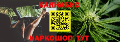 шишки Гусь-Хрустальный