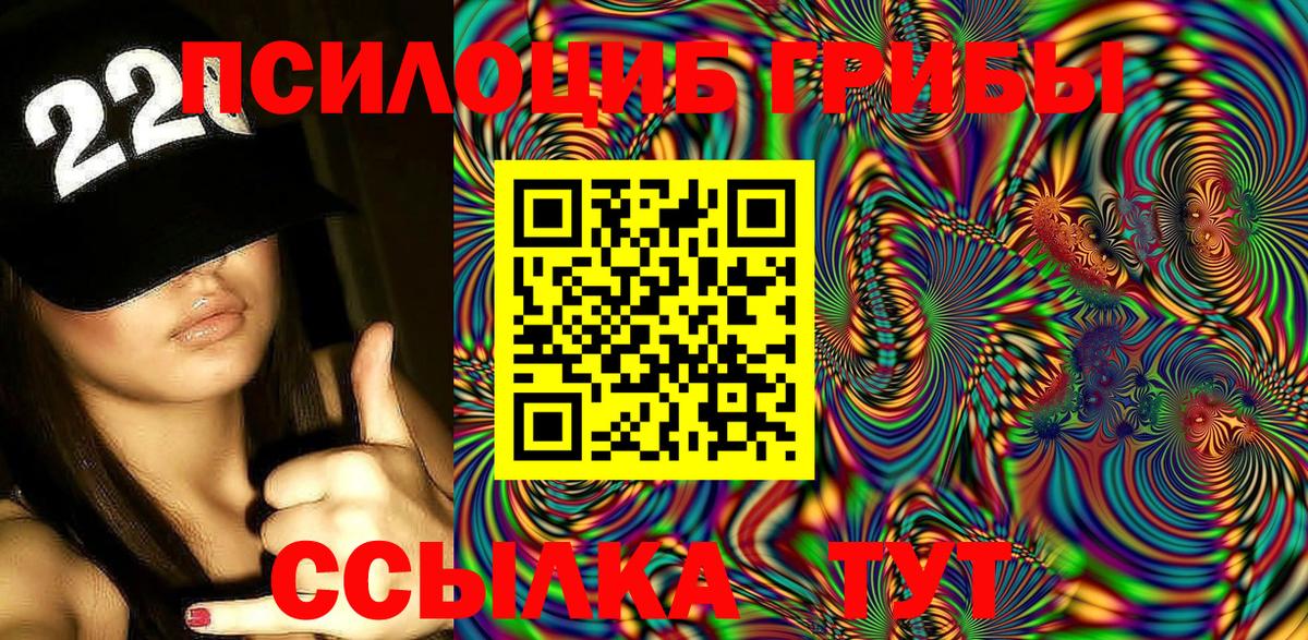 Псилоцибиновые грибы GOLDEN TEACHER  Елизово  Псилоцибиновые грибы Magic Shrooms 