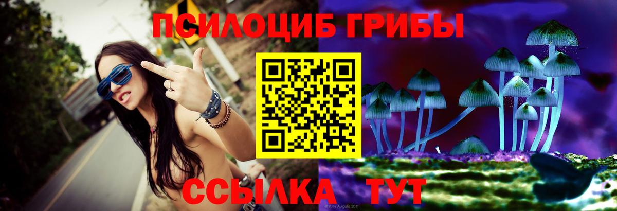 Галлюциногенные грибы мухоморы  Вход с VPN  Галлюциногенные грибы MAGIC MUSHROOMS  Елизово 